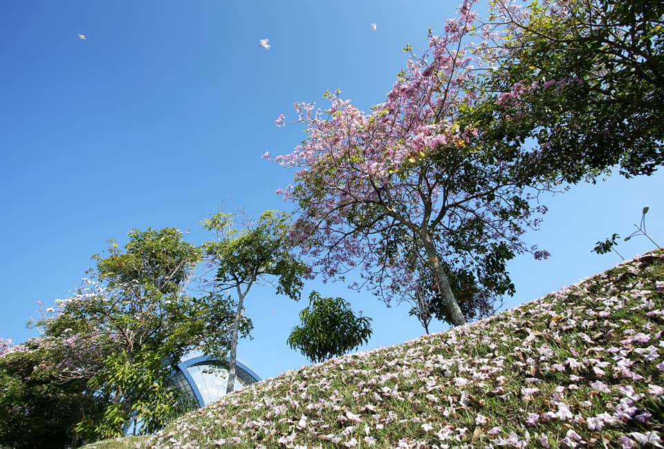 Experience Perlis <bt> Extraordinary Surroundings